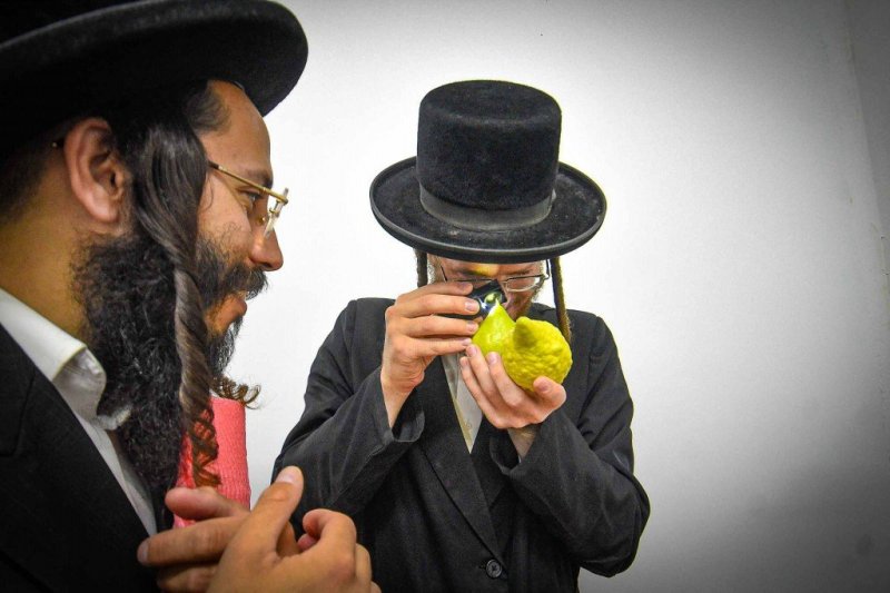 ארי קופרשטוק