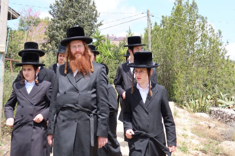 אלקנה קליין