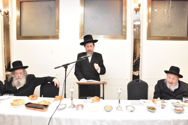 יהודה פרקוביץ