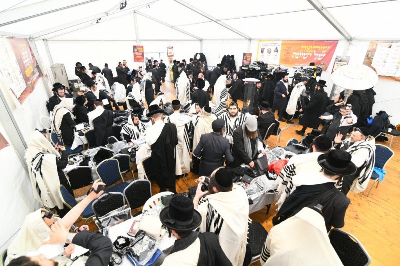 ארי קופרשטוק