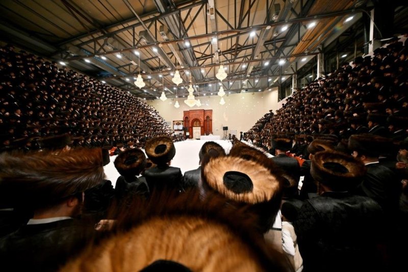 יהושע פרוכטר