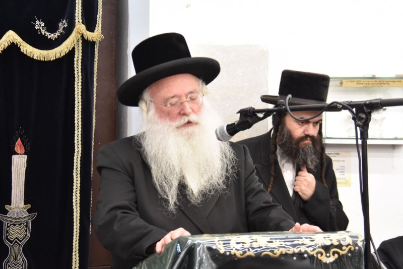 יהודה פרקוביץ