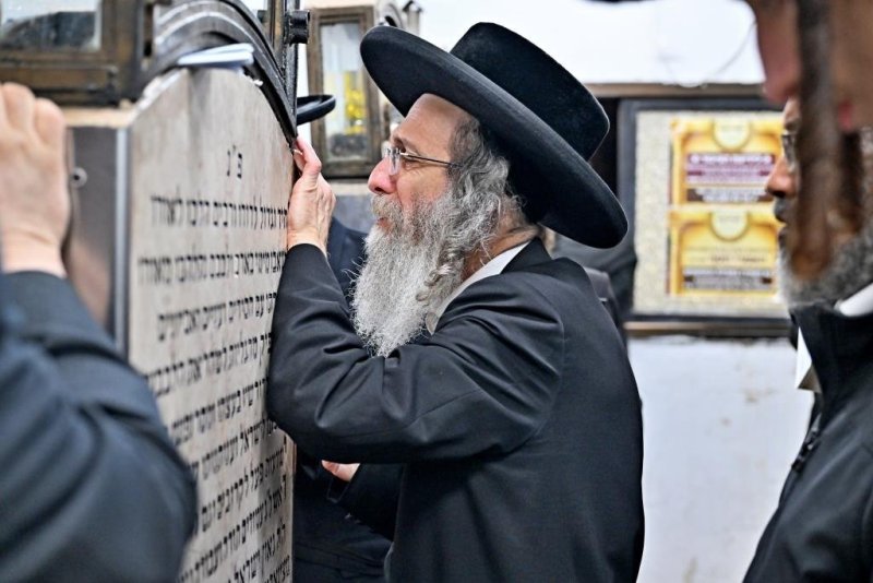 יהושע פרוכטר