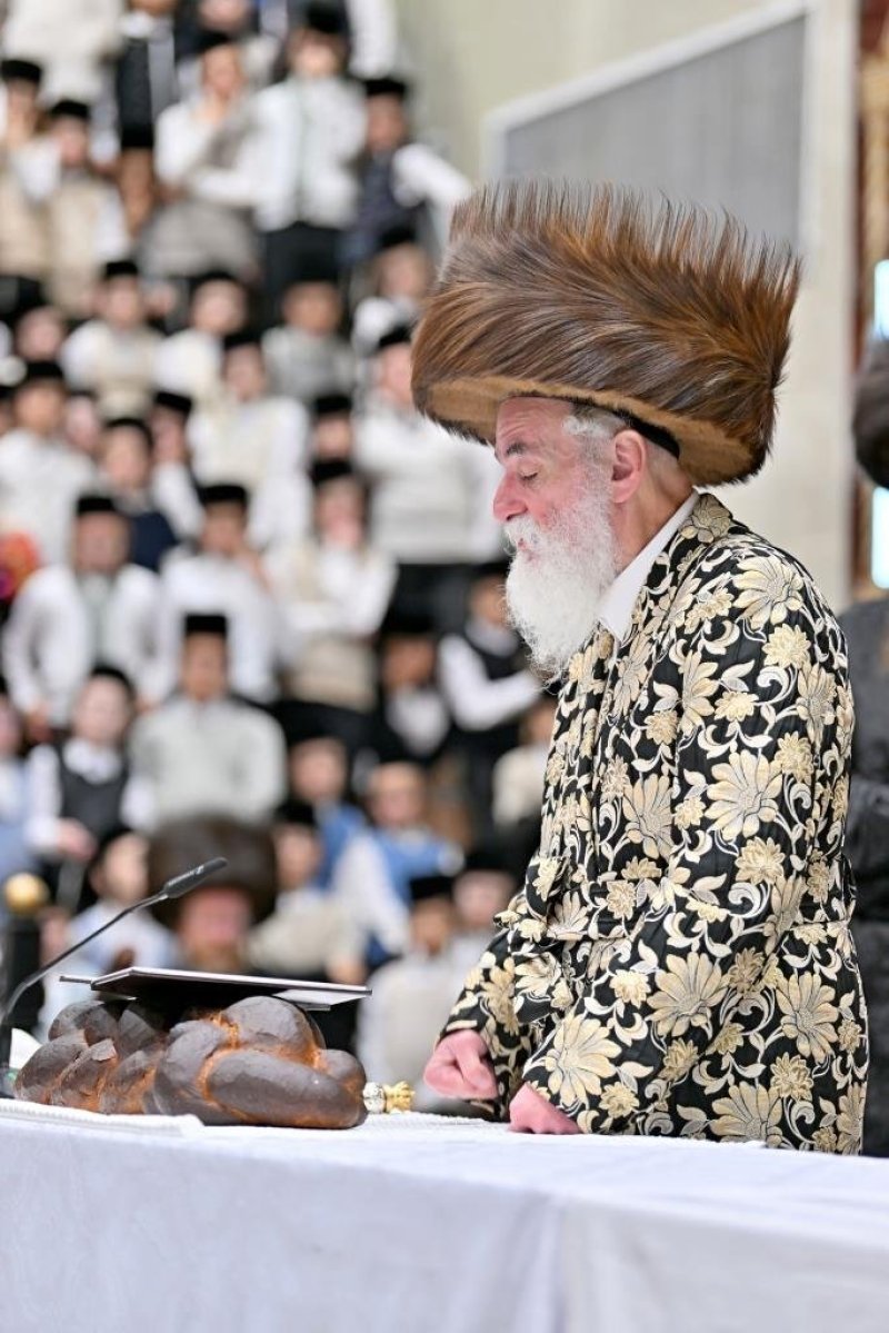 יהושע פרוכטר