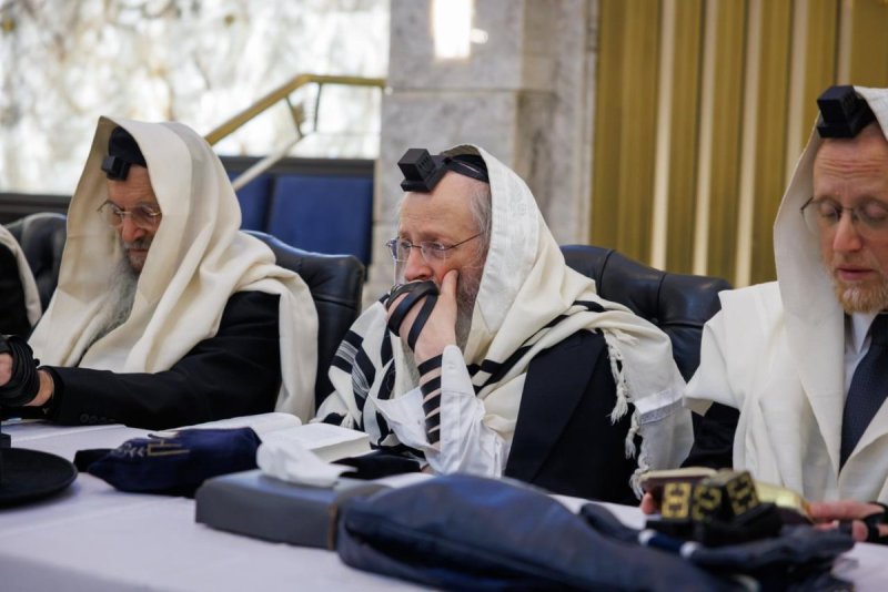 דניאל נפוסי ומאיר זלזניק