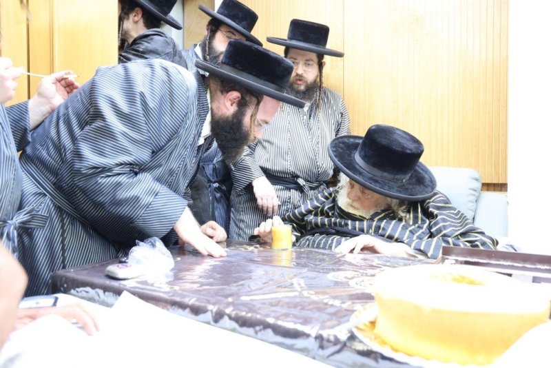 שלומי טריכטר