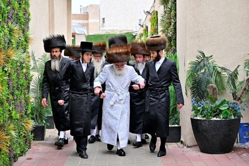 יהושע פרוכטר