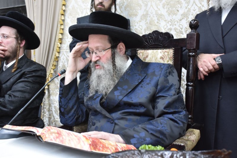 יהודה פרקוביץ