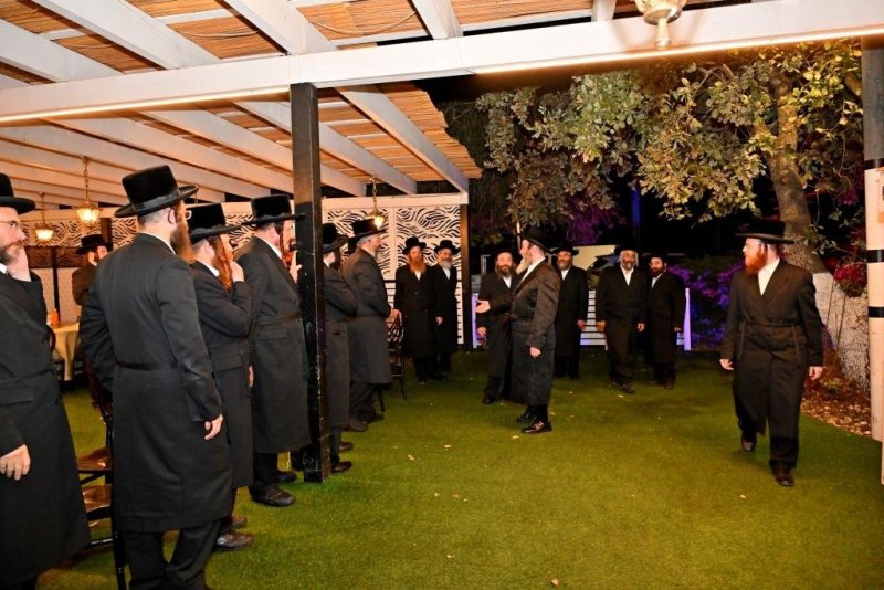 יהושע פרוכטר