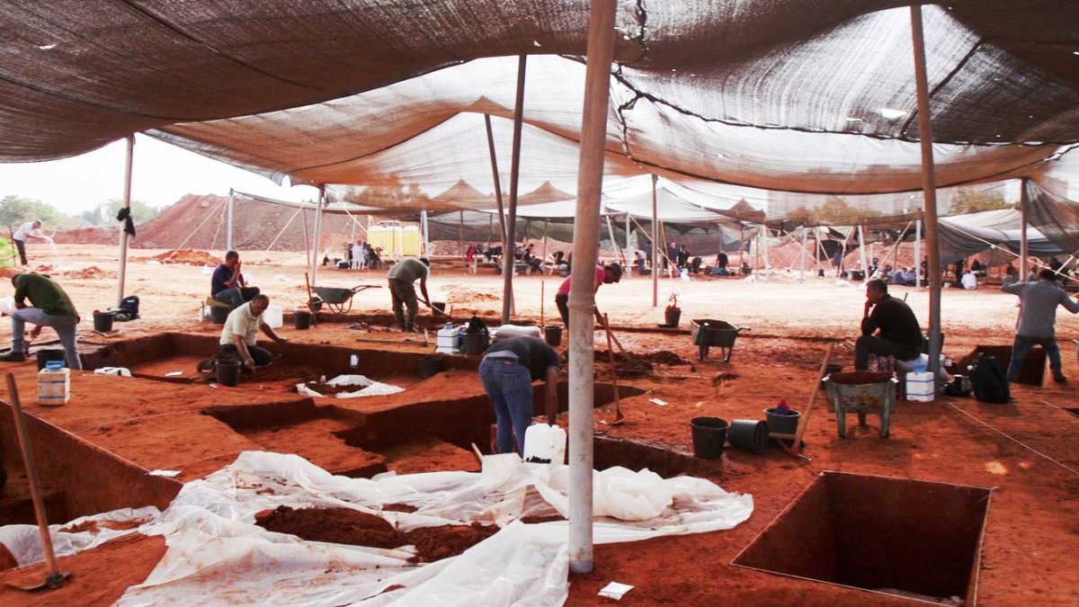 אמיל אלג'ם, רשות העתיקות