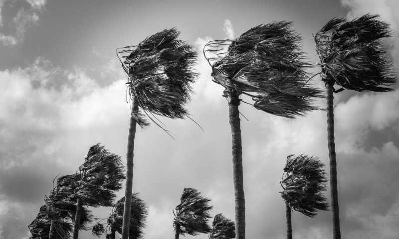 סערה בבאטומי: ארקיע וישראייר מבטלות ודוחות טיסות לישראל