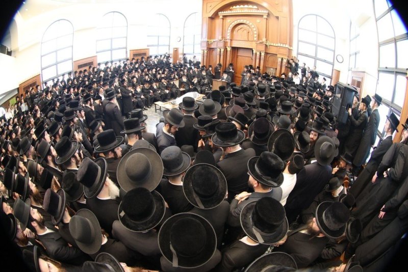 שלומי טריכטר