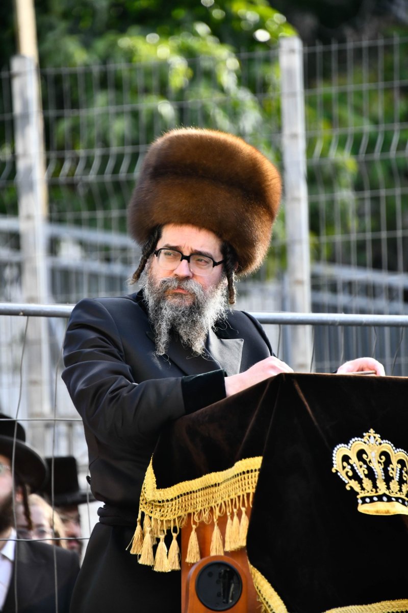 שוקי לרר