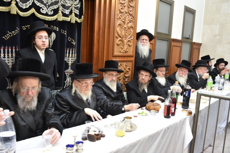 יהודה פרקוביץ