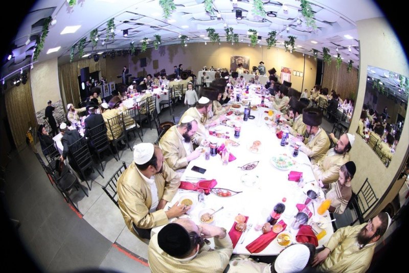 שלומי טריכטר