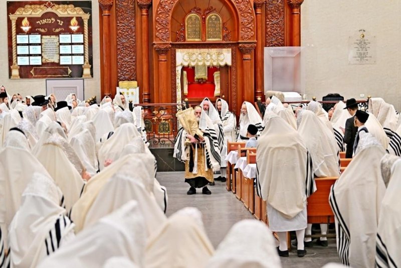 יהושע פרוכטר