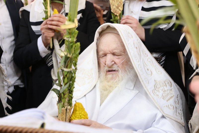 שוקי לרר ושמואל דריי