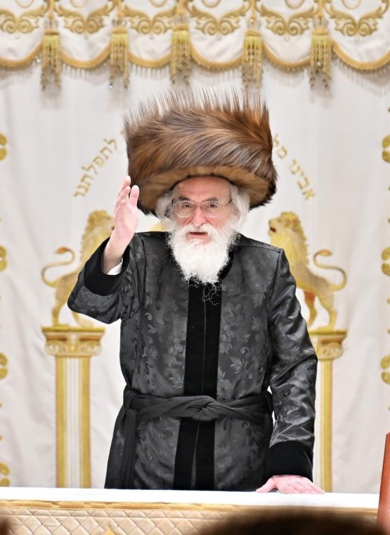 יהושע פרוכטר