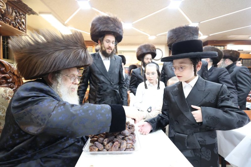 שלומי טריכטר