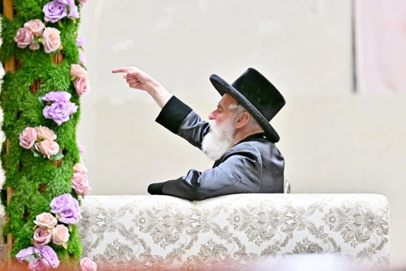 יהושע פרוכטר