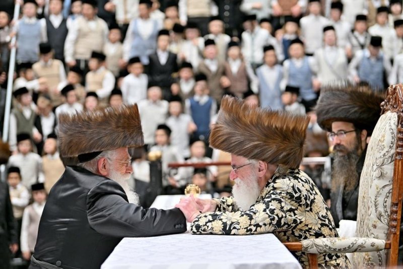 יהושע פרוכטר