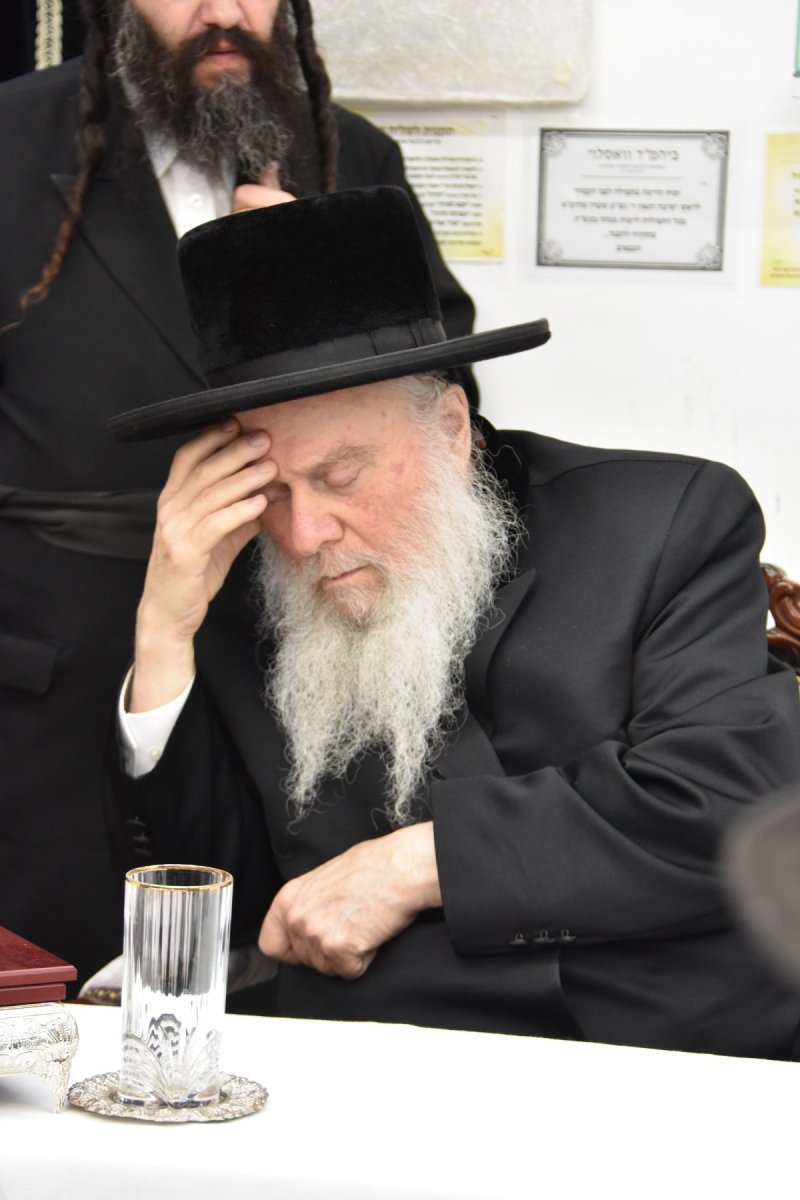 יהודה פרקוביץ