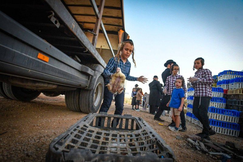 ארי קופרשטוק
