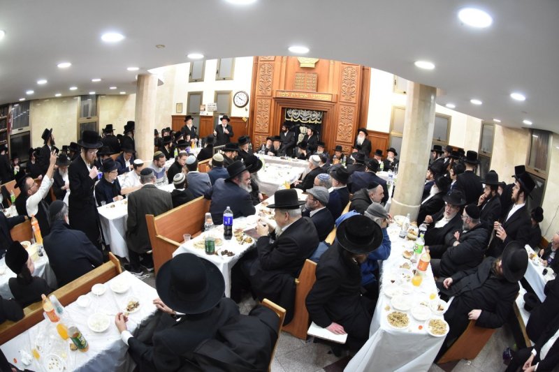 יהודה פרקוביץ