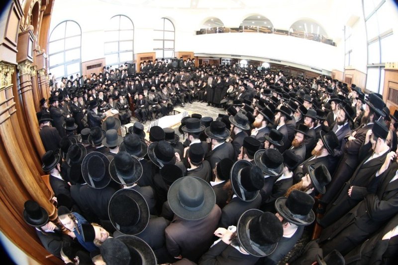 שלומי טריכטר