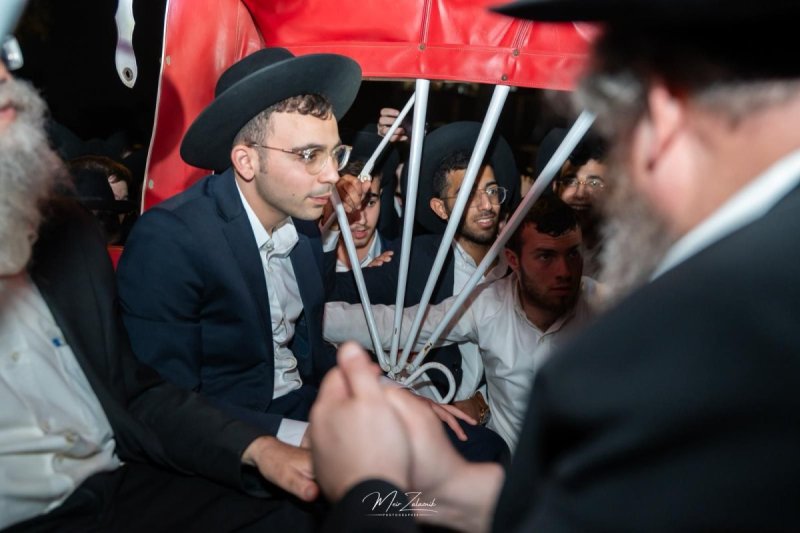 מאיר זלזניק