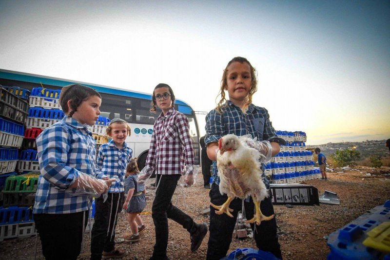 ארי קופרשטוק