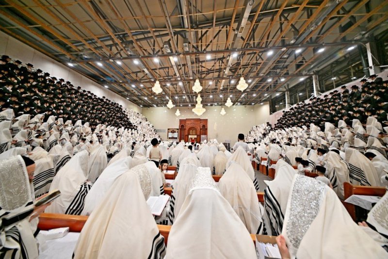 יהושע פרוכטר