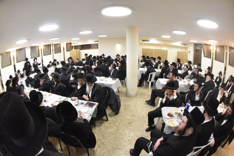 יהודה פרקוביץ