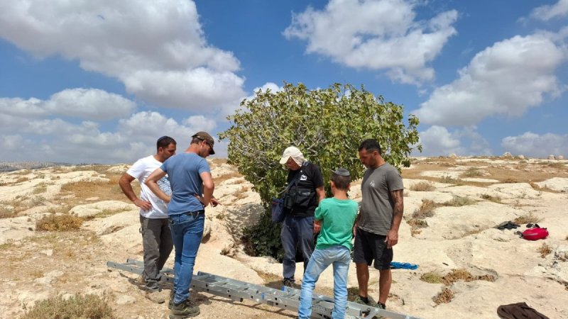 רועי גלעד, רשות הטבע והגנים