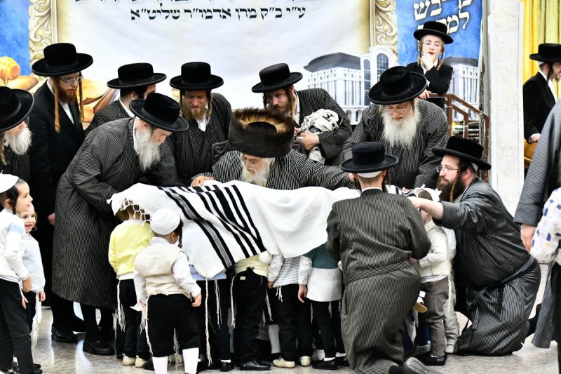 שוקי לרר