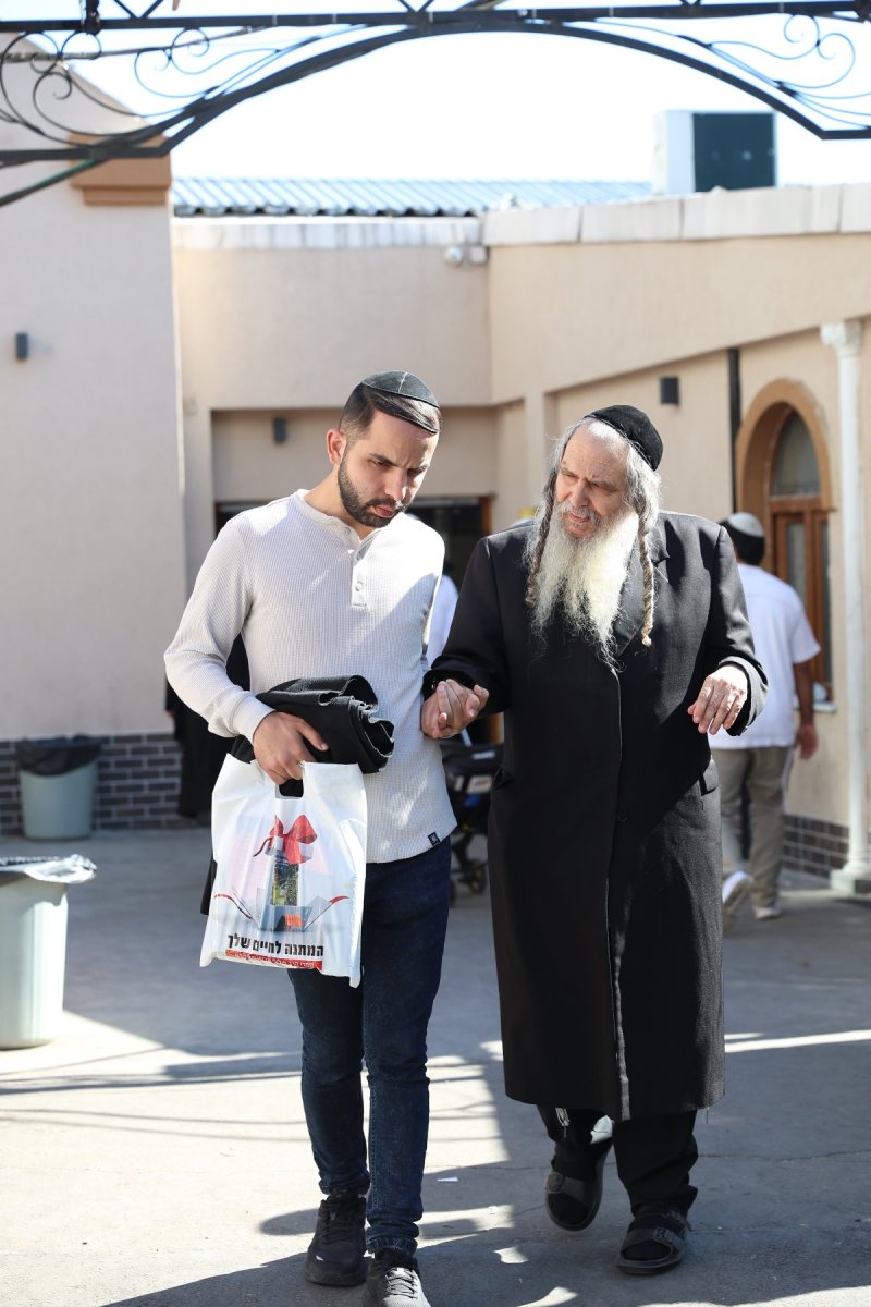 יהודה וויס