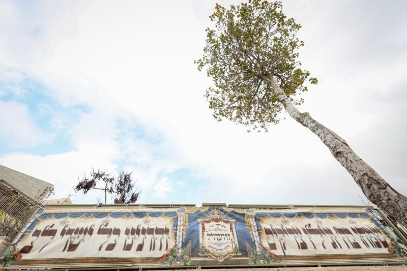 א. אייזנבאך