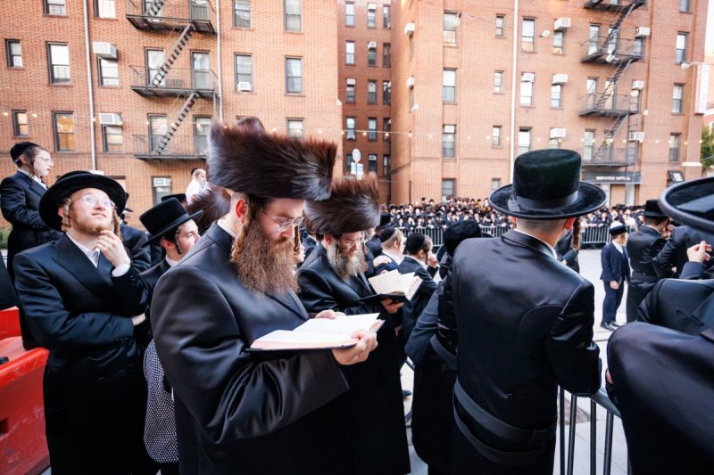 האחים לאנטשעווסקי ואושי וויינגארטן