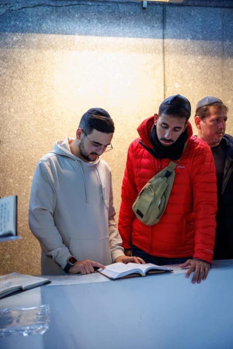 דניאל נפוסי