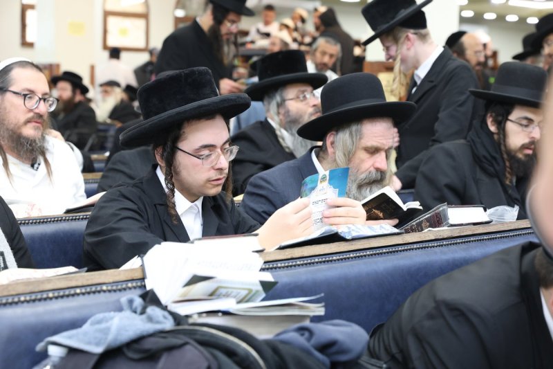יהודה וויס