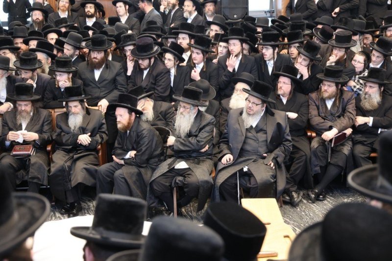 שלומי טריכטר