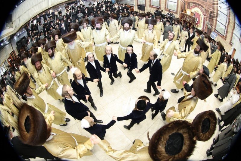 שלומי טריכטר