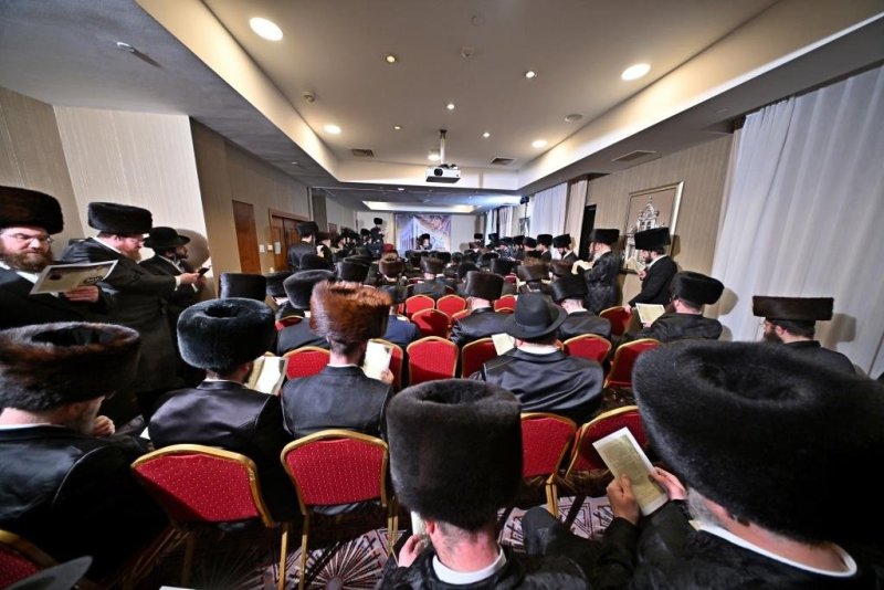 יהושע פרוכטר