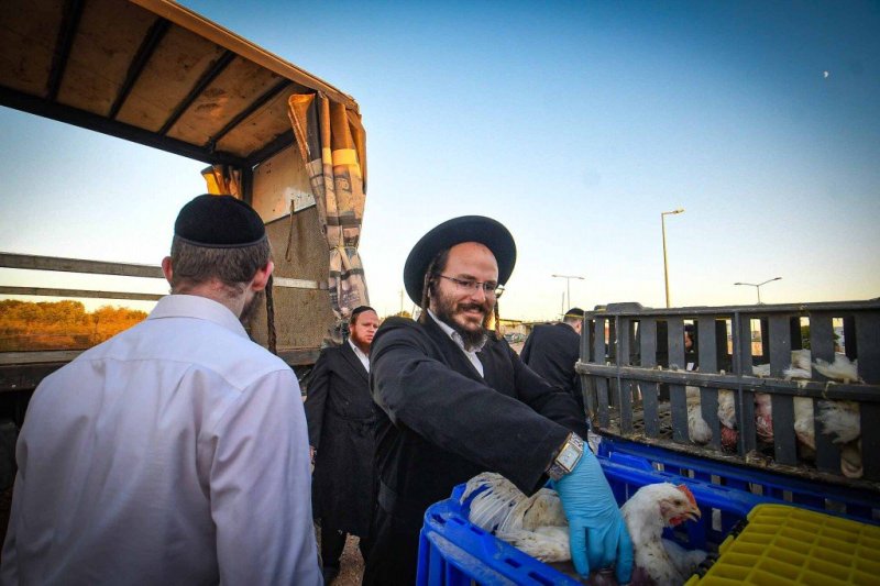 ארי קופרשטוק