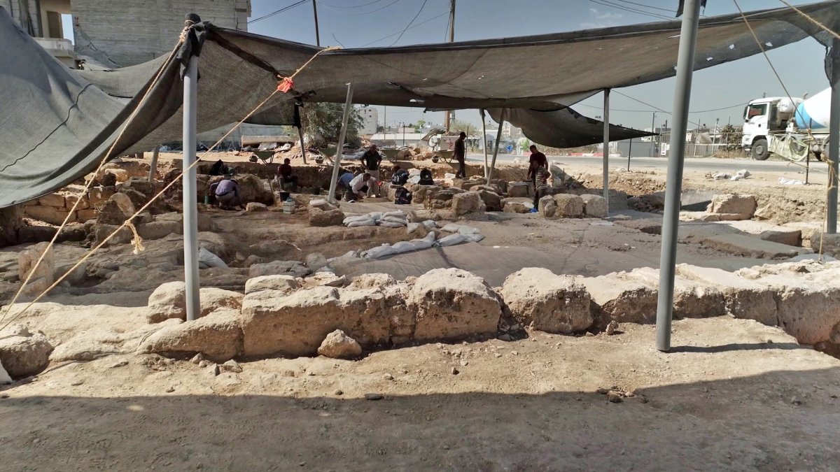 אמיל אלג'ם, רשות העתיקות