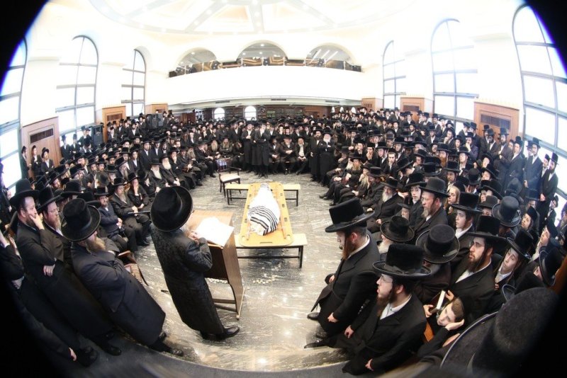 שלומי טריכטר