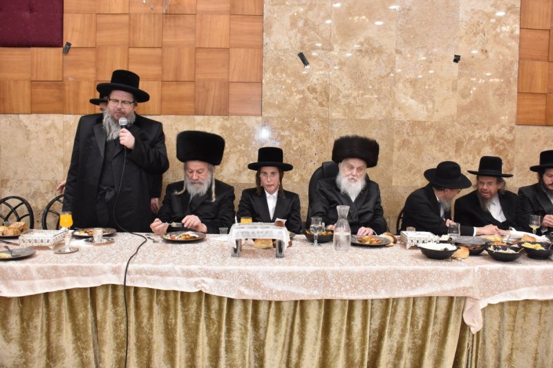 יהודה פרקוביץ