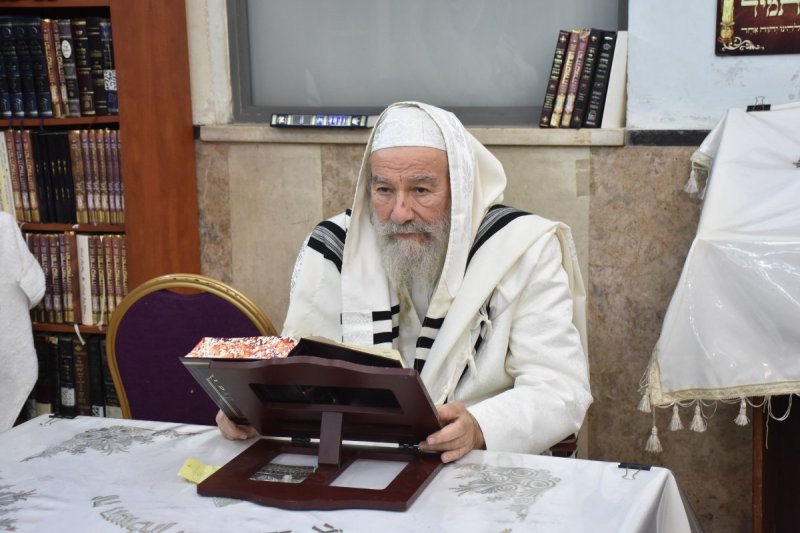 יהודה פרקוביץ