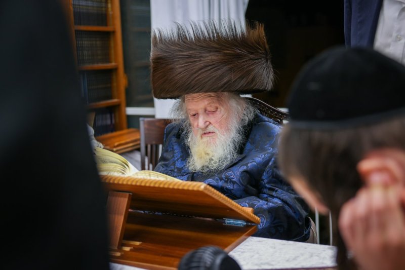 דניאל נפוסי