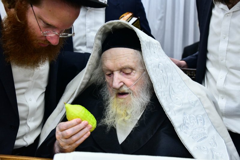 שוקי לרר